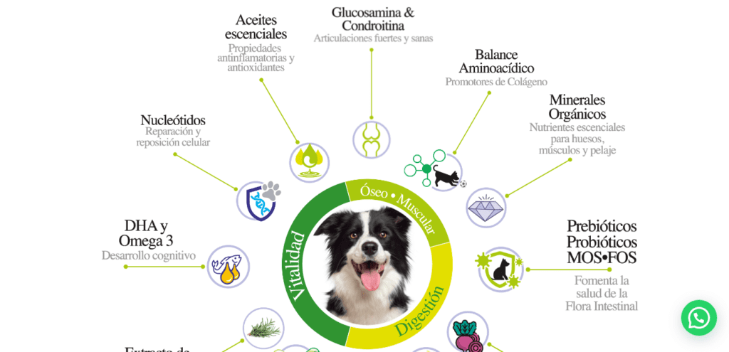 Captura de pantalla 2023-09-25 102952